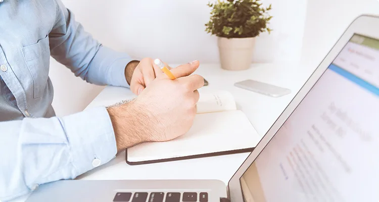 Standout New and Trending WordPress Themes - TK体育